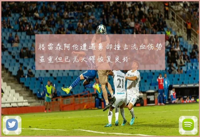 格雷森阿伦遭遇鼻部撞击流血伤势虽重但已无大碍恢复良好