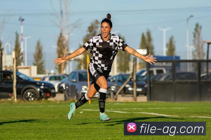 AG娱乐平台生态图